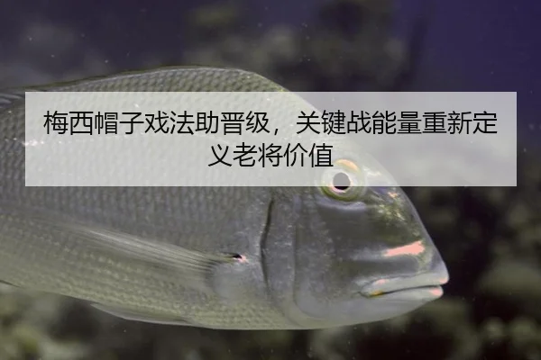 梅西帽子戏法助晋级，关键战能量重新定义老将价值